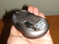 Nuotrauka 1